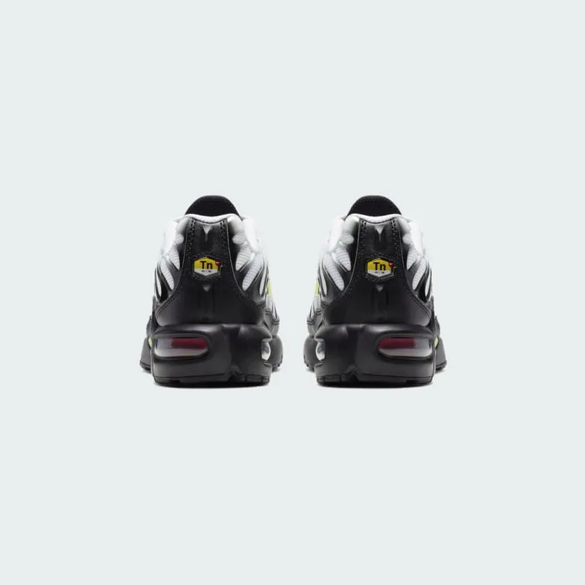 Nike Juniors Air Max Plus RF BV0047 100